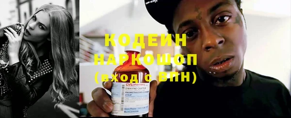 apvp Краснослободск