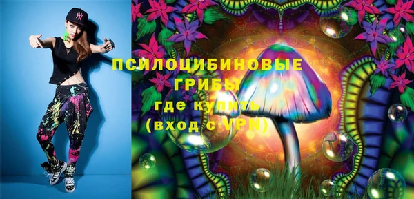 PSILOCYBIN Краснотурьинск