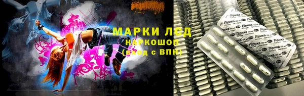 PSILOCYBIN Краснотурьинск