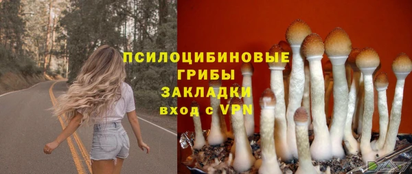 apvp Краснослободск