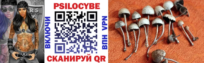 Псилоцибиновые грибы Psilocybe  omg tor  Ленинградская  как найти закладки 